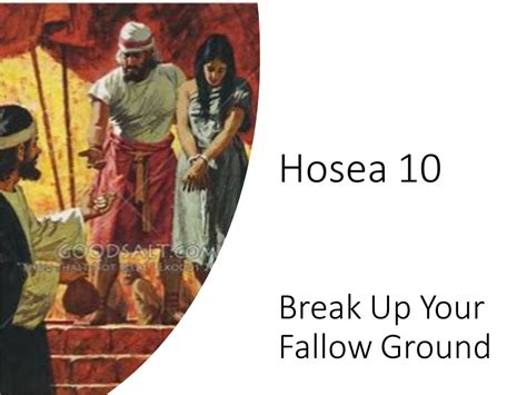 Hosea 10 - Break Up Your Fallow Ground - Logos Sermons