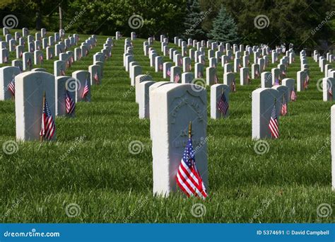 Memorial Day Flags stock image. Image of death, grave - 5374691