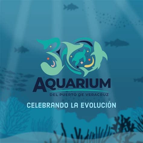 Este Regresan Los Martes Gratuitos Del Aquarium De Veracruz