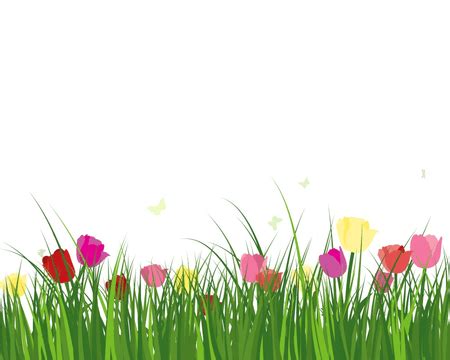 Meadow Grass Hd Transparent Meadow Green Grass Spring Flowers Meadow