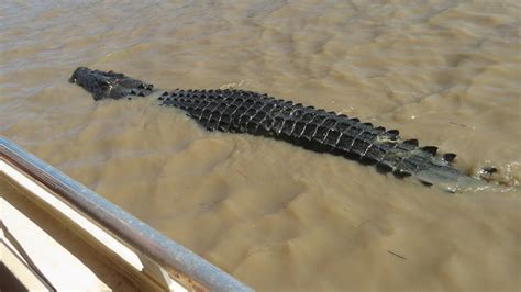 Adelaide River and Nhulunbuy - Cruisin' Chronicles