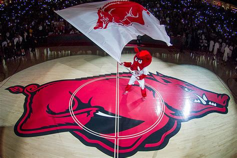 Bud Walton Arena | Arkansas Razorbacks