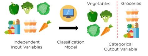 What is Classification in Machine Learning? | Simplilearn