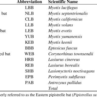 Bat species investigated in study. | Download Table