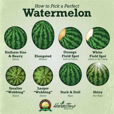 This Is How To Find The Perfect Watermelon This Summer