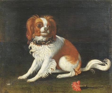 Justus Sustermans Ritratto Di Cane Con Garofano Mutualart