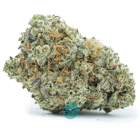 Lemon Buttercream AA Hybrid West Coast Releaf Online Dispensary Canada