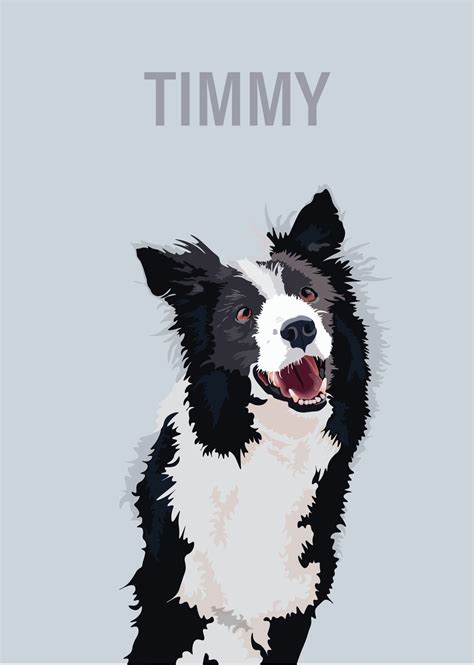 Personalised Border Collie Pet Picture Custom Pet Portrait Etsy Uk