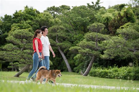 犬の散歩で使いやすいバッグを紹介！散歩の基礎知識やマナーも解説｜moffme