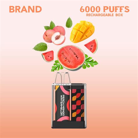 Factory Directly Supply 6000 Puffs Custom Wholesale OEM Disposable Vape