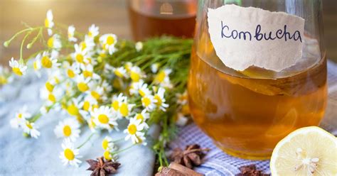 What Is SCOBY? How to Brew Your Own Kombucha