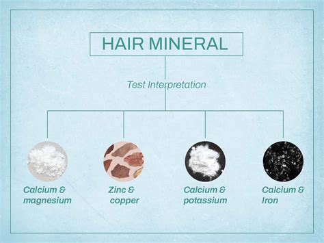 Hair Mineral Analysis Test