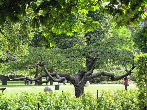 Kongens Have (Rosenborg Castle Gardens) - Copenhagen Municipality