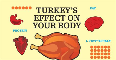 Thanksgiving 2016: The Truth About Turkey and Tryptophan | TIME