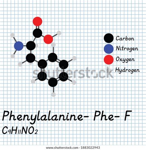 Phenylalanine Phe F Amino Acid Molecular Stock Vector (Royalty Free ...