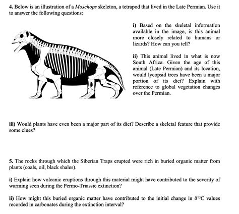 Solved 4. Below is an illustration of a Moschops skeleton, a | Chegg.com