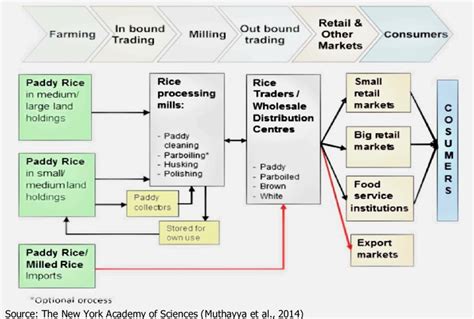 Conceptual Diagram Of The Rice Supply Chain In A Rice Growing Country Download Scientific Diagram