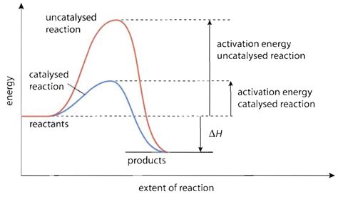 Illustrate Graphically The Effect Of A Catalyst On Rate Of A Reaction