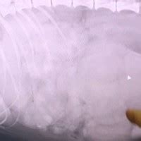 Nate Skeletor Porn Pics Nude Photos Pornhub