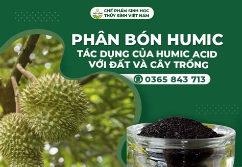 Ph N B N Humic L G T C D Ng C A Humic Acid V I T V C Y