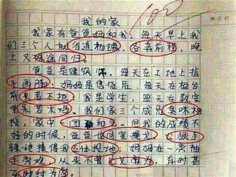 我发现了作文200字