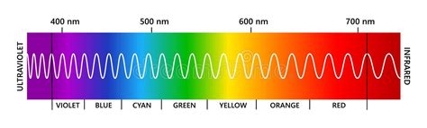 Light Spectrum Uv Stock Illustrations – 204 Light Spectrum Uv Stock ...