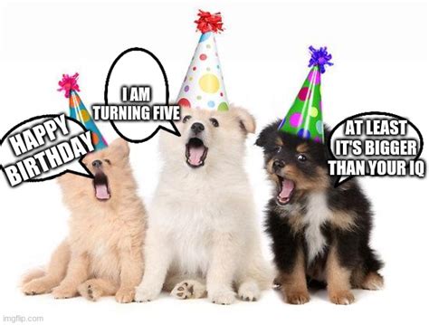 happy birthday puppies Memes - Imgflip