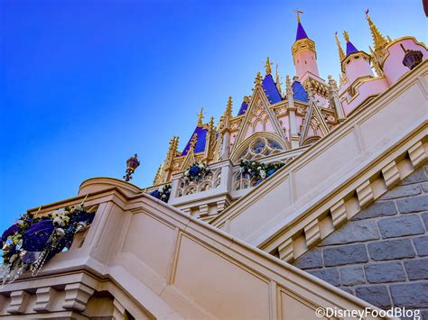 Eddie's world expansion plans are creating excitement for travelers 3