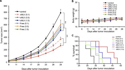 Drug Ratio Dependent Efficacy Of Cmlvdoxptx In Tumor Treatment A