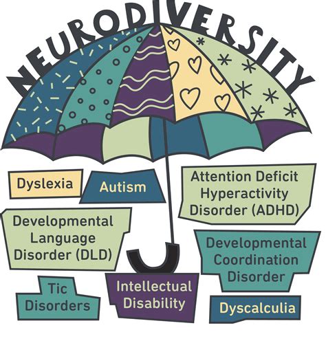 Understanding Neurodiversity Therapy Focus