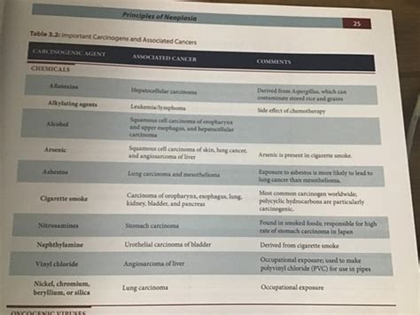 Pathoma Neoplasia Ch 3 Flashcards Quizlet