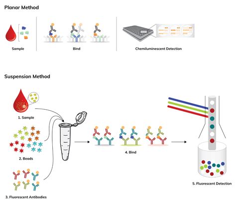 Multiplex Assay Services Boster Bio