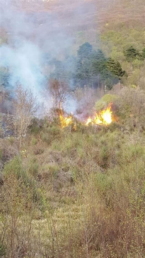 Avezzano Informa Civita DAntino In Fumo 10 Ettari Di Bosco