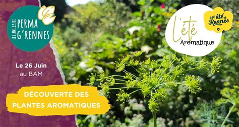 D Couverte Des Plantes Aromatiques Cet T Rennes