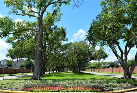 Homes for Sale in The Oaks of Rosenberg, Rosenberg, TX | Bret Wallace