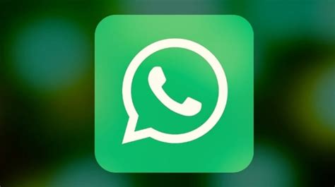 Cara Menghapus Stiker WhatsApp Lengkap Di IPhone Dan Android