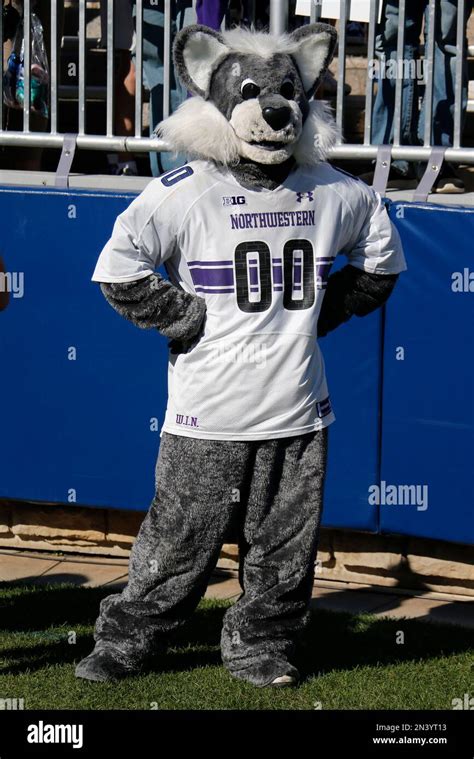 The Northwestern mascot stands on the sidelines during an NCAA college ...