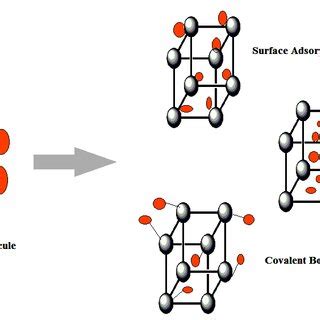 Schematic Representation Of The Solvothermal And Hydrothermal Process