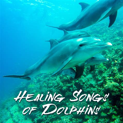 Healing Songs of Dolphins - YouTube Music