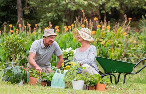 Id Es Pour Cultiver Lamour Au Jardin Toute L Ann E Depuis Mon Hamac