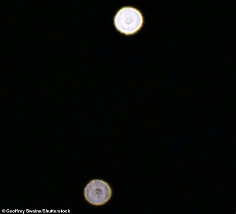 Stunning Photos Show Jupiter And Venus In A Rare Cosmic Kiss Daily Mail Online