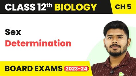 Sex Determination Principles Of Inheritance And Variation Class 12 Biology 2022 23 YouTube