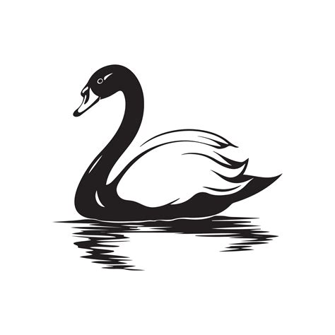 Swan Image Vector, Illustration Of Swan 35487381 Vector Art at Vecteezy