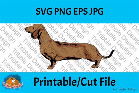 Dachshund Png Dachshund Svg Sausage Dogs Wiener Dog Svg Files