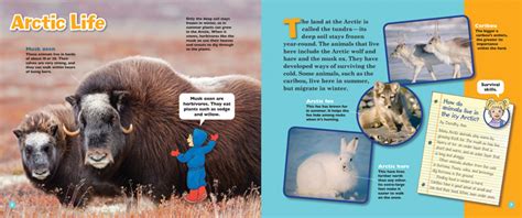 The Magic School Bus Presents: Polar Animals | Scholastic Canada