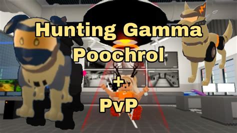 Hunting For Gamma Poochrol PvP Loomian Legacy Live YouTube