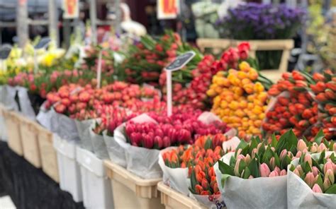 Los Mejores Mercados De Flores De Holanda Holland