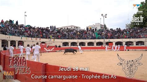 Feria Dal S Course Camarguaise Troph E Des As Le Mag