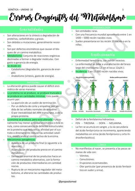 Errores Cong Nitos Del Metabolismo Jayne Millan Udocz