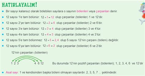 S N F Pozitif Tam Say Lar N Arpanlar Konu Anlat M Z Ml Sorular